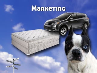 Taking Different Paths to No Kill