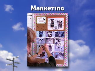 Taking Different Paths to No Kill