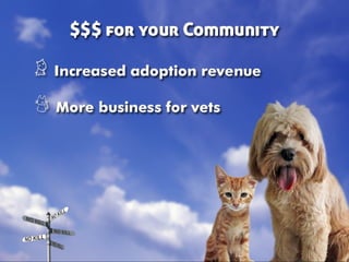 Taking Different Paths to No Kill