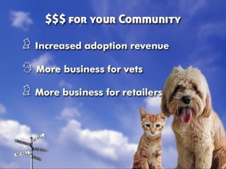 Taking Different Paths to No Kill