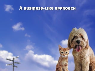 Taking Different Paths to No Kill