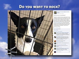 Taking Different Paths to No Kill