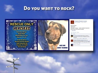 Taking Different Paths to No Kill