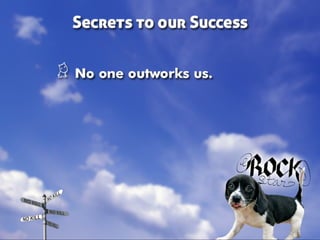 Taking Different Paths to No Kill