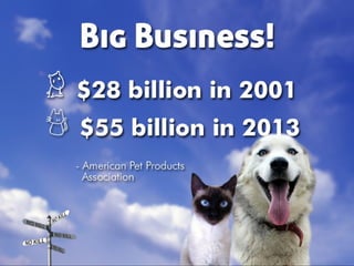 Taking Different Paths to No Kill