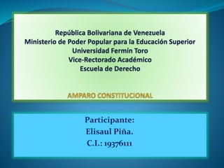 Participante: 
Elisaul Piña. 
C.I.: 19376111 
 