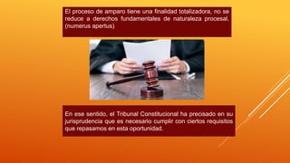 El proceso de amparo tiene una finalidad totalizadora, no se
reduce a derechos fundamentales de naturaleza procesal.
(numerus apertus)
En ese sentido, el Tribunal Constitucional ha precisado en su
jurisprudencia que es necesario cumplir con ciertos requisitos
que repasamos en esta oportunidad.
 