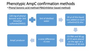 Phenotypic AmpC confirmation methods
• Disk approximation test (Induction based method):14
• A 0.5 McFarland bacterial sus...