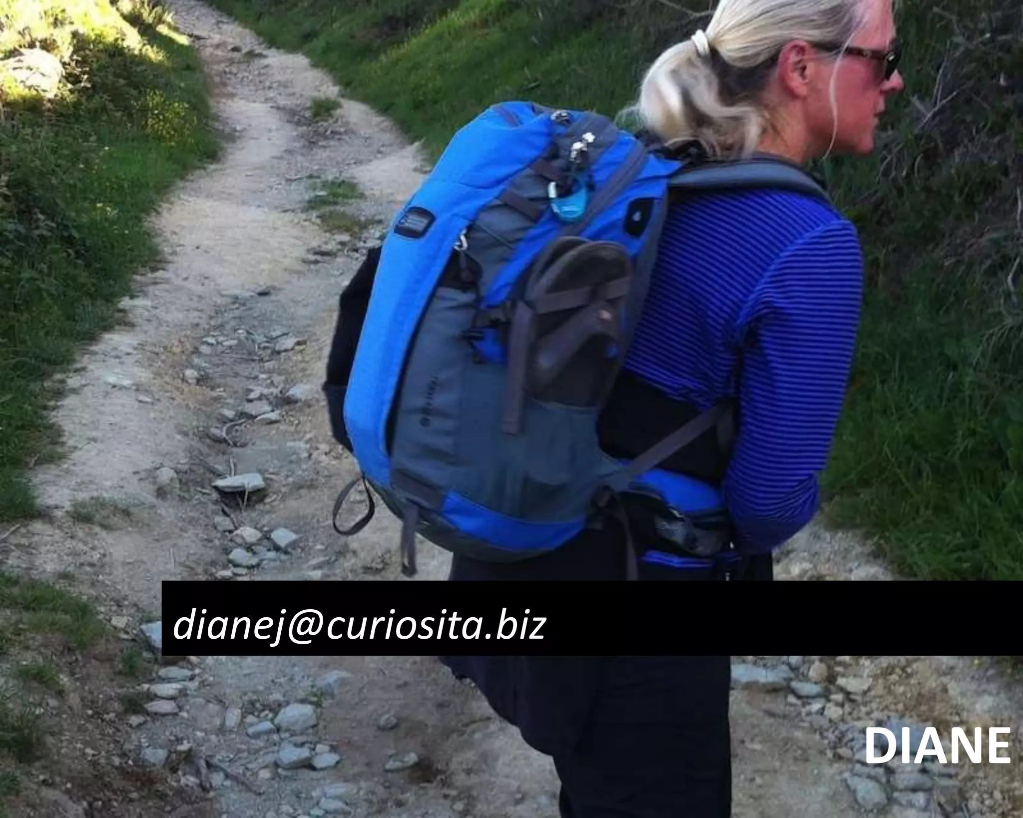 DIANE 
dianej@curiosita.biz 
 