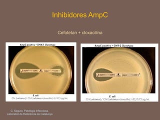 Inhibidores AmpC
Cefotetan + cloxacilina
C. Segura. Patologia Infecciosa.
Laboratori de Referència de Catalunya
 