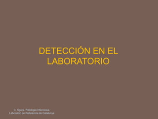 DETECCIÓN EN EL
LABORATORIO
C. Sgura. Patologia Infecciosa.
Laboratori de Referència de Catalunya
 