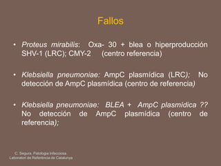 Fallos
• Proteus mirabilis: Oxa- 30 + blea o hiperproducción
SHV-1 (LRC); CMY-2 (centro referencia)
• Klebsiella pneumoniae: AmpC plasmídica (LRC); No
detección de AmpC plasmídica (centro de referencia)
• Klebsiella pneumoniae: BLEA + AmpC plasmídica ??
No detección de AmpC plasmídica (centro de
referencia);
C. Segura. Patologia Infecciosa.
Laboratori de Referència de Catalunya
 