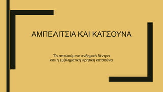 ΑΜΠΕΛΙΤΣΙΑ ΚΑΙ ΚΑΤΣΟΥΝΑ
Το απειλούμενο ενδημικό δέντρο
και η εμβληματική κρητική κατσούνα
 