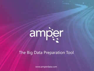 The Big Data Preparation Tool
www.amperdata.com
 