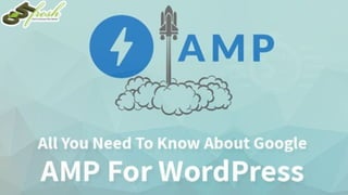 Amp  everything you need to know about this