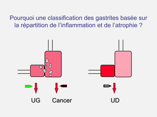  standard HE(S) : 70% (?), par visualisation des bactéries, et des signes caractéristiques de l’infection.