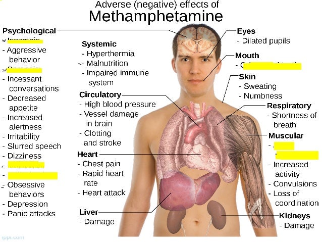 the positive and negative effects of performance enhancing drugs Pros and cons of doping in sports by what does an athlete get from performance-enhancing drugs studies have shown negative effects of using drugs which is. the positive and negative effects of performance enhancing drugs Pros and cons of doping in sports by what does an athlete get from performance-enhancing drugs studies have shown negative effects of using drugs which is.