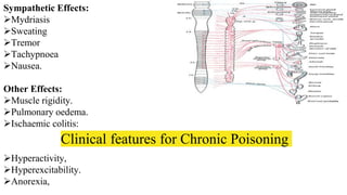 Clinical features for Chronic Poisoning
Sympathetic Effects:
Mydriasis
Sweating
Tremor
Tachypnoea
Nausea.
Other Effects:
Muscle rigidity.
Pulmonary oedema.
Ischaemic colitis:
Hyperactivity,
Hyperexcitability.
Anorexia,
 