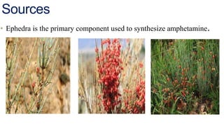 Sources
• Ephedra is the primary component used to synthesize amphetamine.
 