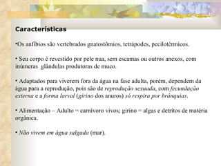 Características Os anfíbios são vertebrados gnatostômios, tetrápodes, pecilotérmicos. Seu corpo é revestido por pele nua, sem escamas ou outros anexos, com inúmeras  glândulas produtoras de muco. Adaptados para viverem fora da água na fase adulta, porém, dependem da água para a reprodução, pois são de  reprodução sexuada , com  fecundação externa  e a  forma larval  ( girino  dos anuros)  só respira por brânquias .  Alimentação – Adulto = carnívoro vivos; girino = algas e detrítos de matéria orgânica.  Não vivem em água salgada  (mar).  