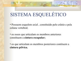 SISTEMA ESQUELÉTICO Possuem esqueleto axial , constituído pelo crânio e pela coluna vertebral; os ossos que articulam os membros anteriores constituem a  cintura escapular; os que articulam os membros posteriores contituem a  cintura pélvica.   