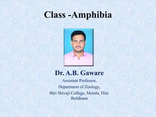 Class -Amphibia
Dr. A.B. Gaware
Assistant Professor,
Department of Zoology,
Shri Shivaji College, Motala, Dist.
Buldhana
 