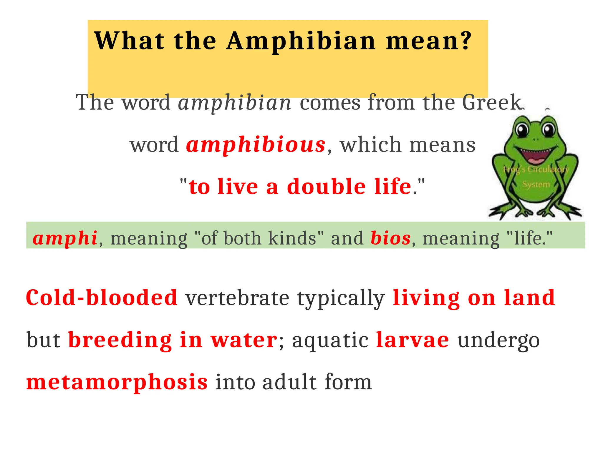 What are the Main Characteristics of Amphibians: Key Facts Explained