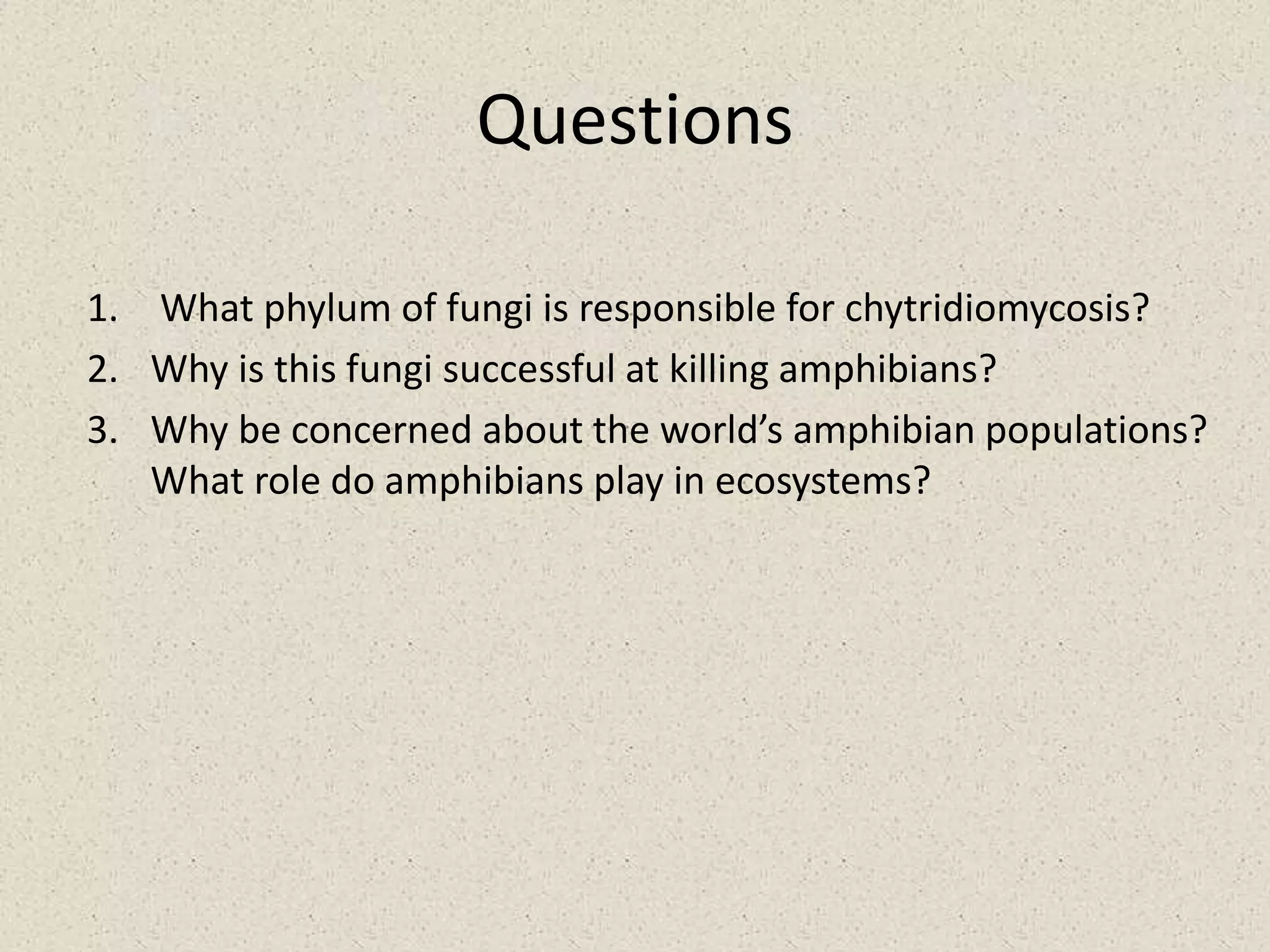 Questions
1. What phylum of fungi is responsible for chytridiomycosis?
2. Why is this fungi successful at killing amphibians?
3. Why be concerned about the world’s amphibian populations?
What role do amphibians play in ecosystems?
 