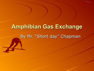 Amphibian Gas ExchangeAmphibian Gas Exchange
By Mr. “Short day” ChapmanBy Mr. “Short day” Chapman
 