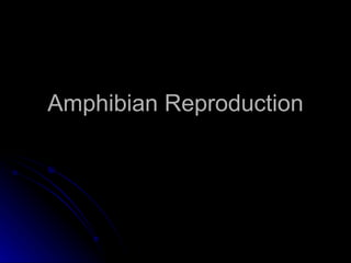 Amphibian Reproduction
 