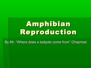 AmphibianAmphibian
ReproductionReproduction
By Mr. “Where does a tadpole come from” ChapmanBy Mr. “Where does a tadpole come from” Chapman
 