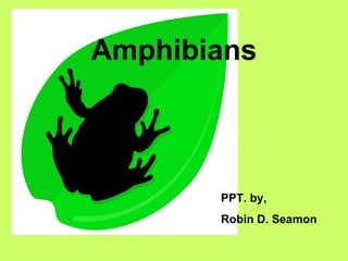 Amphibians PPT. by,  Robin D. Seamon 