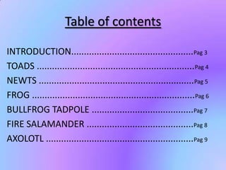 Table of contents
INTRODUCTION................................................Pag 3
TOADS ..............................................................Pag 4
NEWTS .............................................................Pag 5
FROG ................................................................Pag 6
BULLFROG TADPOLE ........................................Pag 7
FIRE SALAMANDER ..........................................Pag 8
AXOLOTL ..........................................................Pag 9