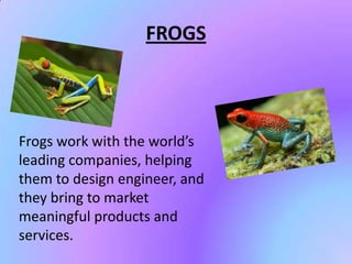 FROGS
Frogs work with the world’s
leading companies, helping
them to design engineer, and
they bring to market
meaningful products and
services.