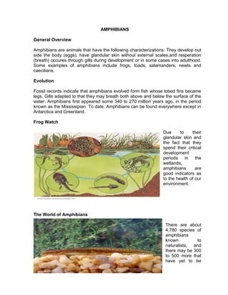 AMPHIBIANS
General Overview
Amphibians are animals that have the following characterizations: They develop out
side the body (eggs), have glandular skin without external scales,and resperation
(breath) occures through gills during development or in some cases into adulthood.
Some examples of amphibians include frogs, toads, salamanders, newts and
caecilians.
Evolution
Fossil records indicate that amphibians evolved form fish whose lobed fins became
legs. Gills adapted to that they may breath both above and below the surface of the
water. Amphibians first appeared some 340 to 270 million years ago, in the period
known as the Mississipian. To date, Amphibians can be found everywhere except in
Antarctica and Greenland.
Frog Watch
Due to their
glandular skin and
the fact that they
spend their critical
development
periods in the
wetlands,
amphibians are
good indicators as
to the health of our
environment.
The World of Amphibians
There are about
4,780 species of
amphibians
known to
naturalists, and
there may be 300
to 500 more that
have yet to be
 