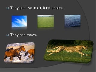  They can live in air, land or sea.
 They can move.
 