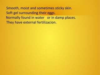 Smooth, moist and sometimes sticky skin.
Soft gel surrounding their eggs.
Normally found in water or in damp places.
They have external fertilizacion.