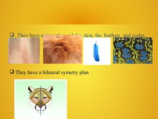  They have a protective celular, skin, fur, feathers and scales.
They have a bilateral symetry plan