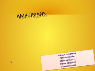 AMPHIBIANSAMPHIBIANS
NATALIA ALBORNOS
SERGIO HERNÁN
ANA SAN FRUTOS
DIEGO GONZALEZ
ANZELIKA CICIRKO
NATALIA ALBORNOS
SERGIO HERNÁN
ANA SAN FRUTOS
DIEGO GONZALEZ
ANZELIKA CICIRKO