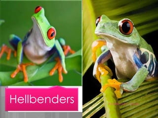 Hellbenders FLOURIE MAE O. OJALES
 