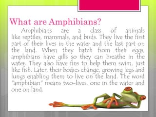 What are Amphibians?
Amphibians are a class of animals
like reptiles, mammals, and birds. They live the first
part of their lives in the water and the last part on
the land. When they hatch from their eggs,
amphibians have gills so they can breathe in the
water. They also have fins to help them swim, just
like fish. Later, their bodies change, growing legs and
lungs enabling them to live on the land. The word
"amphibian" means two-lives, one in the water and
one on land.
FLOURIE MAE O. OJALES
 