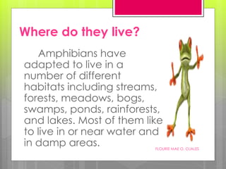 Where do they live?
Amphibians have
adapted to live in a
number of different
habitats including streams,
forests, meadows, bogs,
swamps, ponds, rainforests,
and lakes. Most of them like
to live in or near water and
in damp areas. FLOURIE MAE O. OJALES
 