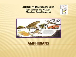 AMPHIBIANS
SCIENCE-THIRD PRIMARY YEAR
CEIP CORTES DE ARAGÓN
(Teacher: Miguel Navarro)
 