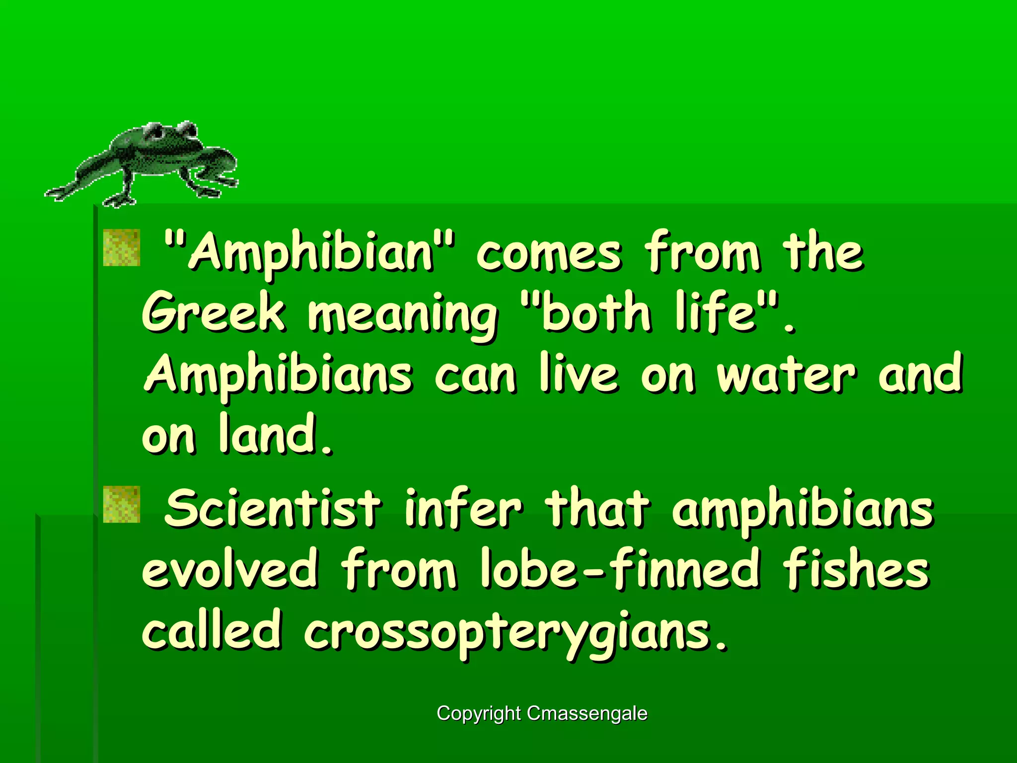 Amphibians | PPT