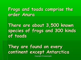 Amphibians | PPT