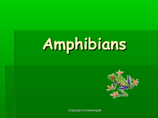 AmphibiansAmphibians
Copyright CmassengaleCopyright Cmassengale
 