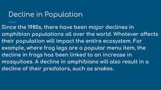 Decline in Population
Since the 1980s, there have been major declines in
amphibian populations all over the world. Whatever affects
their population will impact the entire ecosystem. For
example, where frog legs are a popular menu item, the
decline in frogs has been linked to an increase in
mosquitoes. A decline in amphibians will also result in a
decline of their predators, such as snakes.
 