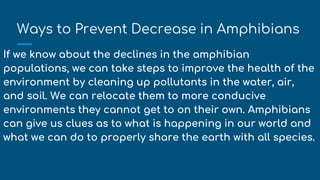 Ways to Prevent Decrease in Amphibians
If we know about the declines in the amphibian
populations, we can take steps to improve the health of the
environment by cleaning up pollutants in the water, air,
and soil. We can relocate them to more conducive
environments they cannot get to on their own. Amphibians
can give us clues as to what is happening in our world and
what we can do to properly share the earth with all species.
 