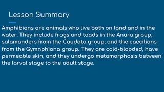 Lesson Summary
Amphibians are animals who live both on land and in the
water. They include frogs and toads in the Anura group,
salamanders from the Caudata group, and the caecilians
from the Gymnphiona group. They are cold-blooded, have
permeable skin, and they undergo metamorphosis between
the larval stage to the adult stage.
 