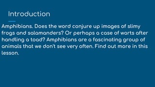 Introduction
Amphibians. Does the word conjure up images of slimy
frogs and salamanders? Or perhaps a case of warts after
handling a toad? Amphibians are a fascinating group of
animals that we don't see very often. Find out more in this
lesson.
 